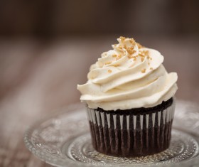 Vanilla cupcake Stock Photo 06
