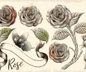 Vintage flower with ribbon and butterfly vector