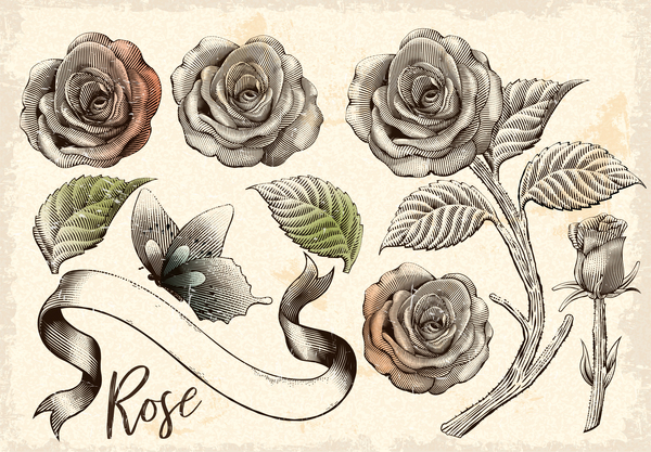 Vintage flower with ribbon and butterfly vector