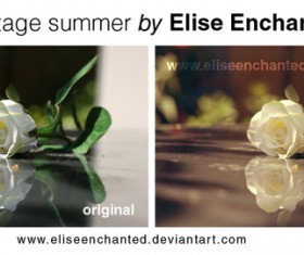 Vintage summer Photoshop Action