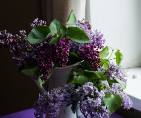 Violet flowers decoration in room Stock Photo
