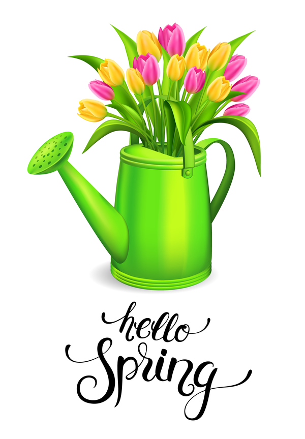 Watering with tulips and white background vector 02