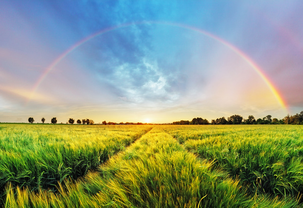 Wilderness beautiful rainbow Stock Photo 01