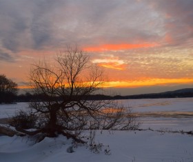 Winter sunset landscape Stock Photo
