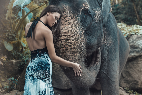 Woman and elephant live in harmony Stock Photo 01
