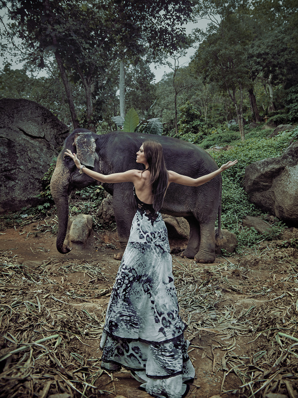 Woman and elephant live in harmony Stock Photo 02