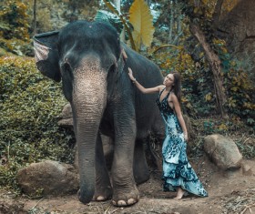 Woman and elephant live in harmony Stock Photo 04