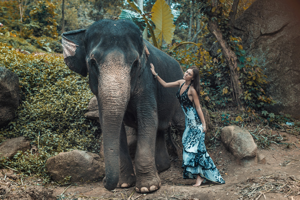 Woman and elephant live in harmony Stock Photo 04