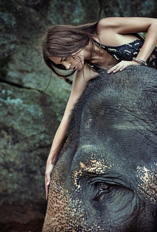 Woman and elephant live in harmony Stock Photo 06