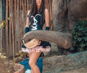 Woman and elephant live in harmony Stock Photo 08
