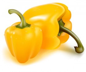 Yellow pepper vector illustrtion 01