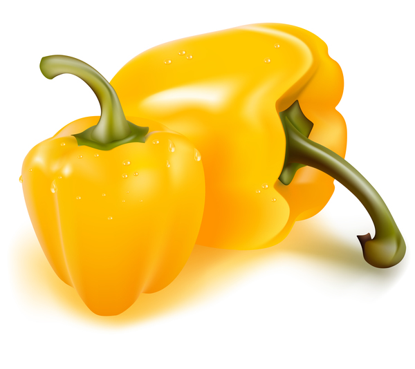 Yellow pepper vector illustrtion 01