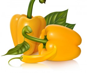 Yellow pepper vector illustrtion 02