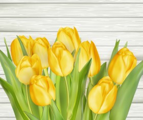 Yellow tulips with wooden background vector
