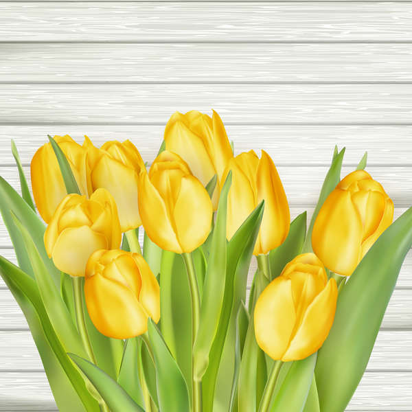 Yellow tulips with wooden background vector
