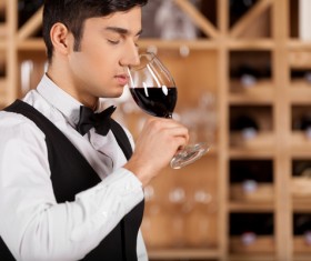 Young wine Sommelier wine Stock Photo 01