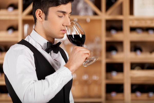 Young wine Sommelier wine Stock Photo 01