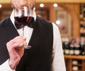 Young wine Sommelier wine Stock Photo 05