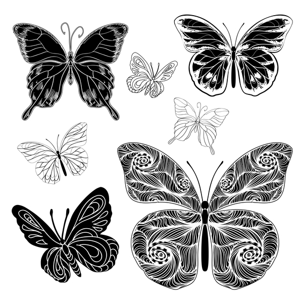 drawings silhouettes butterflies vector
