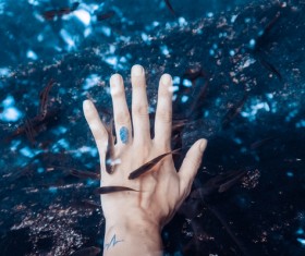 hand and small fishes Closeup Stock Photo