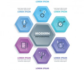 hexagon option infographic template vector 01