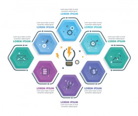 hexagon option infographic template vector 03
