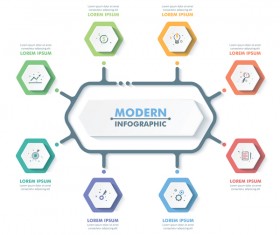 hexagon option infographic template vector 07