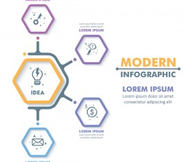 hexagon option infographic template vector 10