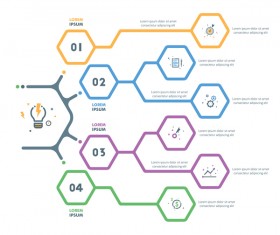 hexagon option infographic template vector 12