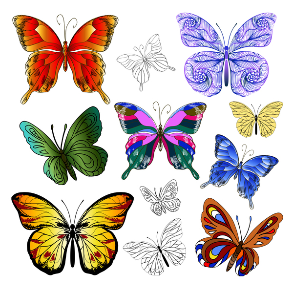 multicolored butterflies vector