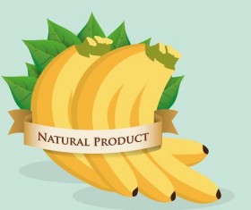 natural banana label vector