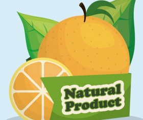 natural orange label vector