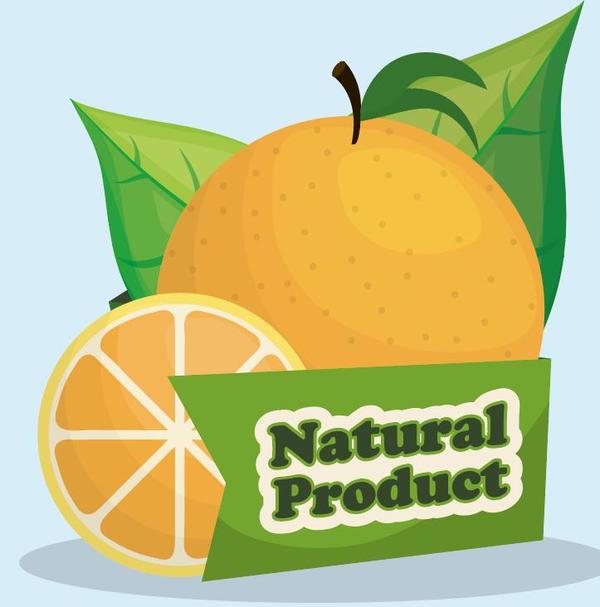 natural orange label vector