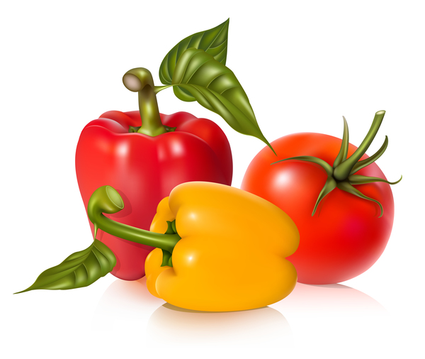 pepper with tomato vector 01