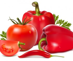pepper with tomato vector 02