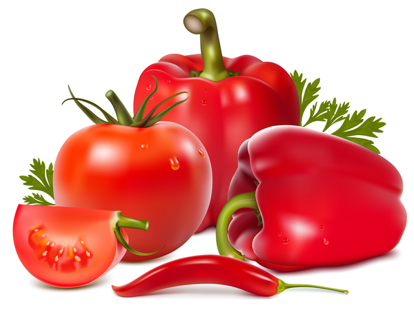 pepper with tomato vector 02