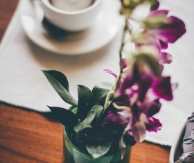 violet orchid decoration near coffee cup Stock Photo
