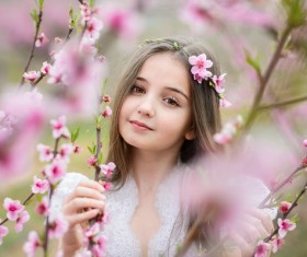 Beautiful lassock like a flower Stock Photo