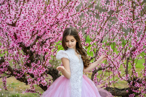 Beautiful little princess and cherry blossom Stock Photo 02