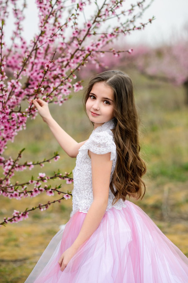 Beautiful little princess and cherry blossom Stock Photo 03