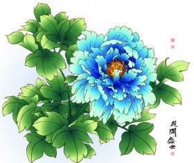 Chinese peony hand drawing vectors 03