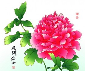 Chinese peony hand drawing vectors 04