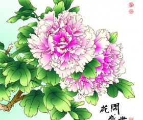 Peony vector - for free download