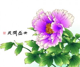 Chinese peony hand drawing vectors 06