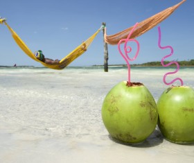 Coco juice and people resting in hammock Stock Photo