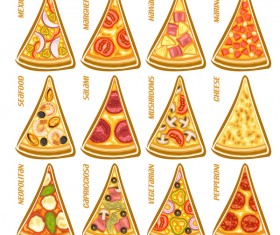 Different pizza vector illustration