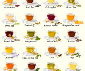 Different tea vector set 01