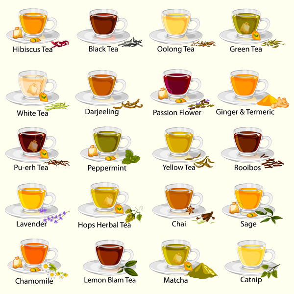 Different tea vector set 01