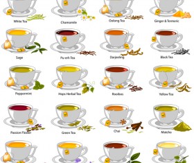Different tea vector set 02