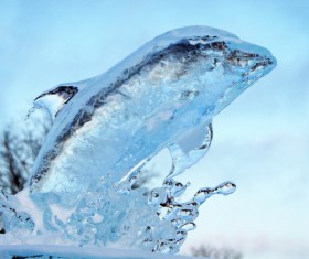 Dolphin Ice Sculpture Stock Photo
